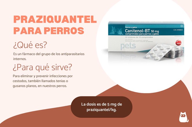 Praziquantel